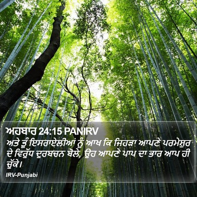 ਅਹਬਾਰ 24:15 PANIRV Bible Verse Image