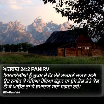 ਅਹਬਾਰ 24:2 PANIRV Bible Verse Image