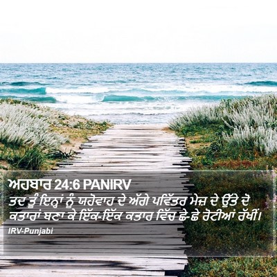 ਅਹਬਾਰ 24:6 PANIRV Bible Verse Image