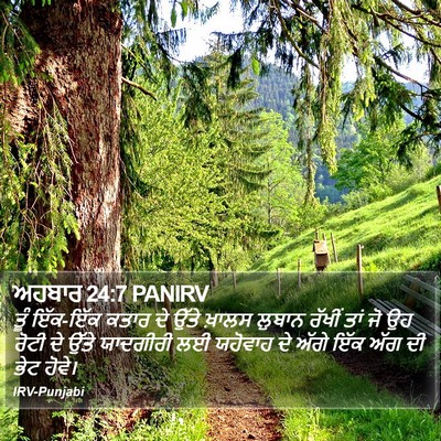ਅਹਬਾਰ 24:7 PANIRV Bible Verse Image
