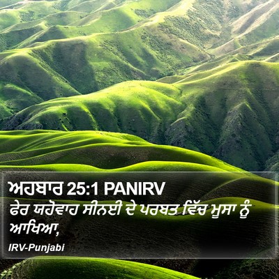 ਅਹਬਾਰ 25:1 PANIRV Bible Verse Image