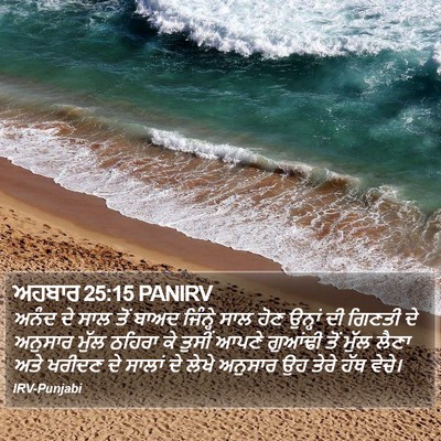 ਅਹਬਾਰ 25:15 PANIRV Bible Verse Image