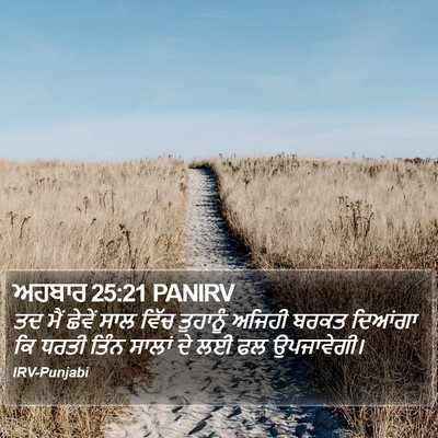 ਅਹਬਾਰ 25:21 PANIRV Bible Verse Image