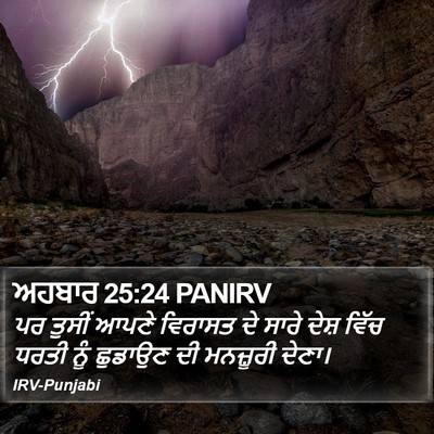 ਅਹਬਾਰ 25:24 PANIRV Bible Verse Image