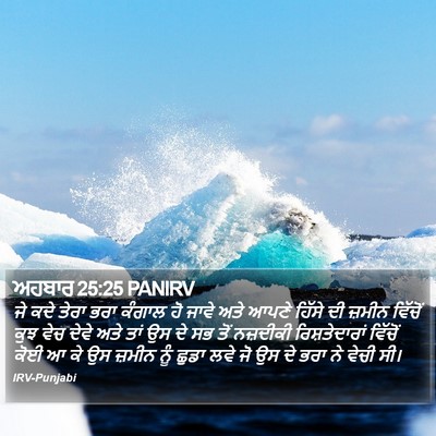 ਅਹਬਾਰ 25:25 PANIRV Bible Verse Image
