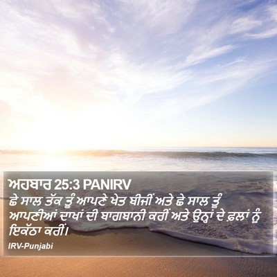 ਅਹਬਾਰ 25:3 PANIRV Bible Verse Image