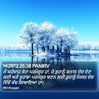 ਅਹਬਾਰ 25:38 PANIRV Bible Verse Image