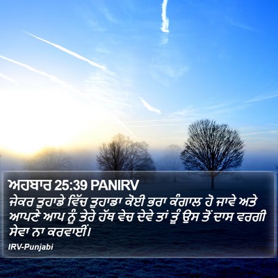 ਅਹਬਾਰ 25:39 PANIRV Bible Verse Image