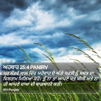 ਅਹਬਾਰ 25:4 PANIRV Bible Verse Image