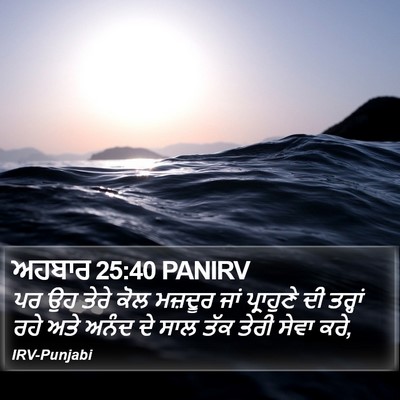 ਅਹਬਾਰ 25:40 PANIRV Bible Verse Image
