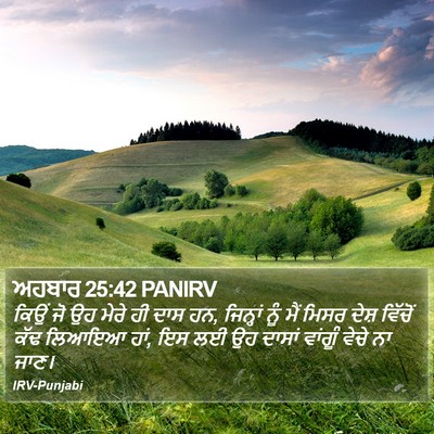 ਅਹਬਾਰ 25:42 PANIRV Bible Verse Image