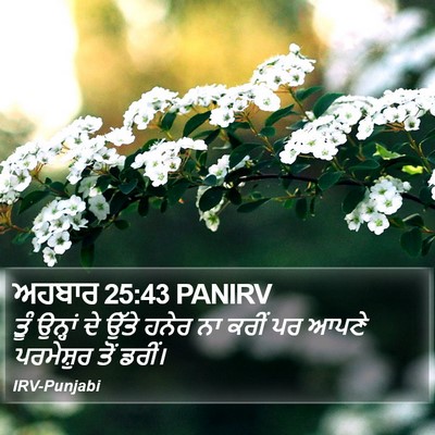 ਅਹਬਾਰ 25:43 PANIRV Bible Verse Image
