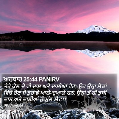 ਅਹਬਾਰ 25:44 PANIRV Bible Verse Image