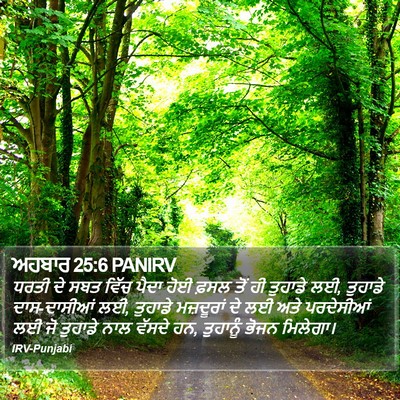 ਅਹਬਾਰ 25:6 PANIRV Bible Verse Image