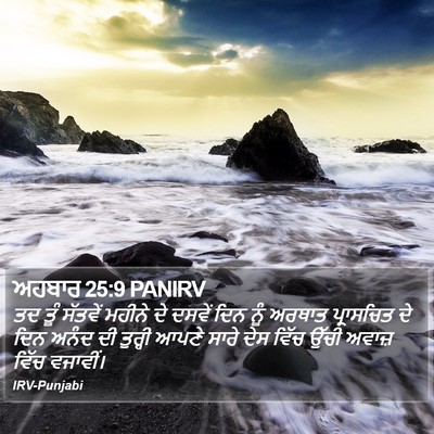 ਅਹਬਾਰ 25:9 PANIRV Bible Verse Image