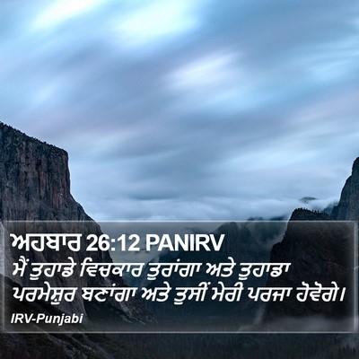 ਅਹਬਾਰ 26:12 PANIRV Bible Verse Image