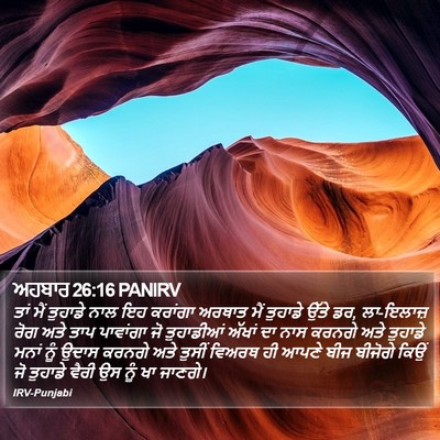 ਅਹਬਾਰ 26:16 PANIRV Bible Verse Image