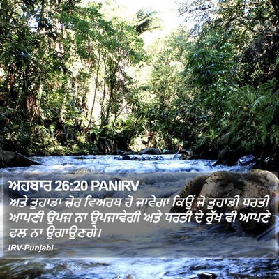 ਅਹਬਾਰ 26:20 PANIRV Bible Verse Image