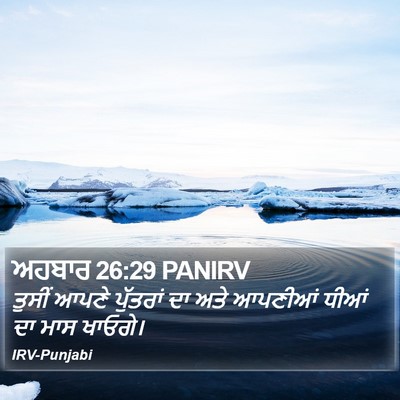 ਅਹਬਾਰ 26:29 PANIRV Bible Verse Image