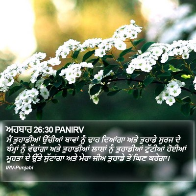 ਅਹਬਾਰ 26:30 PANIRV Bible Verse Image