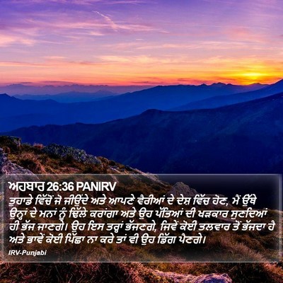 ਅਹਬਾਰ 26:36 PANIRV Bible Verse Image