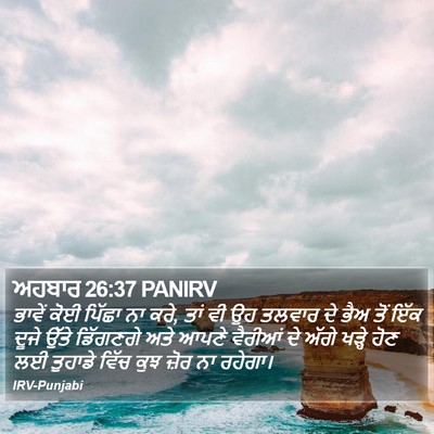 ਅਹਬਾਰ 26:37 PANIRV Bible Verse Image