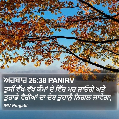 ਅਹਬਾਰ 26:38 PANIRV Bible Verse Image