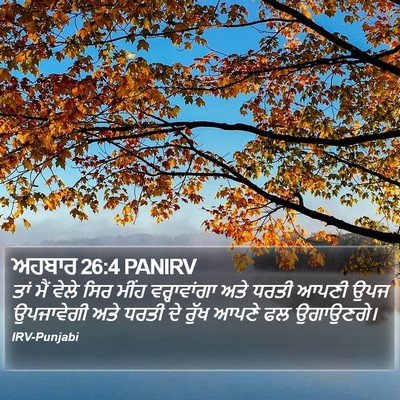 ਅਹਬਾਰ 26:4 PANIRV Bible Verse Image