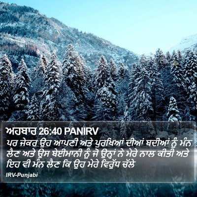 ਅਹਬਾਰ 26:40 PANIRV Bible Verse Image