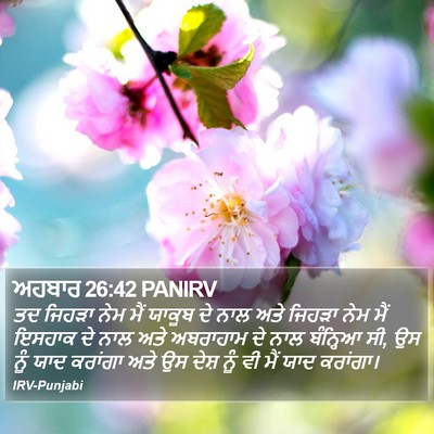 ਅਹਬਾਰ 26:42 PANIRV Bible Verse Image
