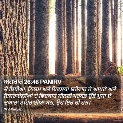 ਅਹਬਾਰ 26:46 PANIRV Bible Verse Image