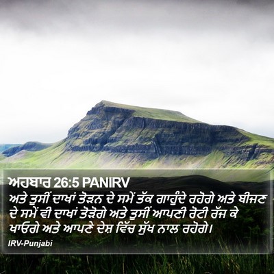 ਅਹਬਾਰ 26:5 PANIRV Bible Verse Image