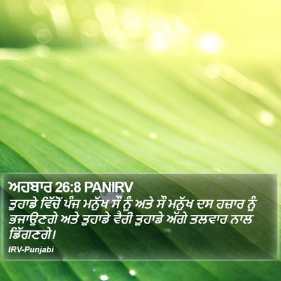 ਅਹਬਾਰ 26:8 PANIRV Bible Verse Image