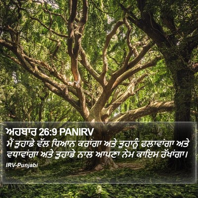 ਅਹਬਾਰ 26:9 PANIRV Bible Verse Image