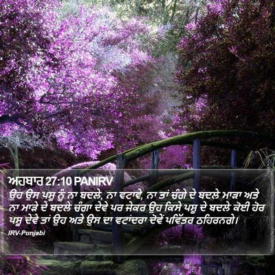ਅਹਬਾਰ 27:10 PANIRV Bible Verse Image