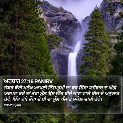ਅਹਬਾਰ 27:16 PANIRV Bible Verse Image