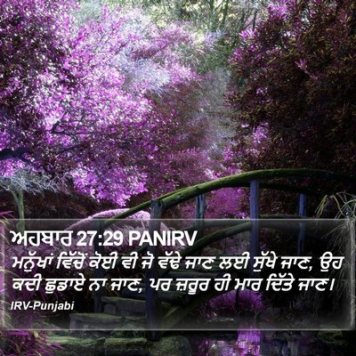 ਅਹਬਾਰ 27:29 PANIRV Bible Verse Image