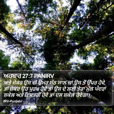 ਅਹਬਾਰ 27:7 PANIRV Bible Verse Image