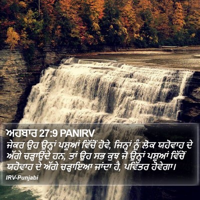 ਅਹਬਾਰ 27:9 PANIRV Bible Verse Image