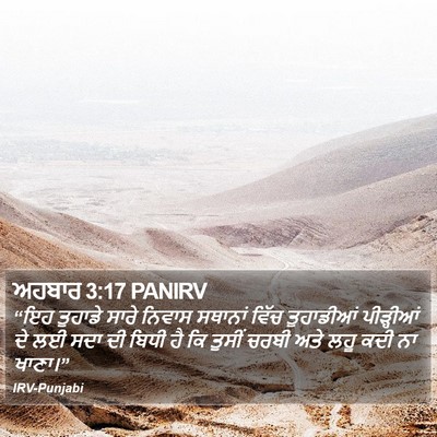 ਅਹਬਾਰ 3:17 PANIRV Bible Verse Image