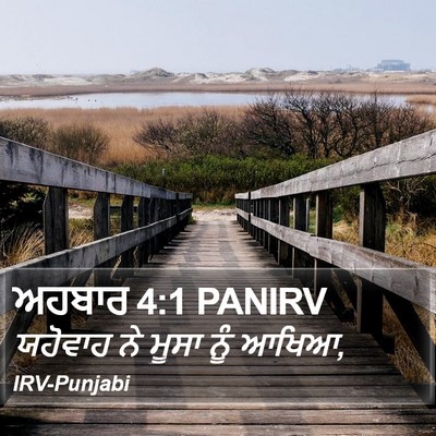 ਅਹਬਾਰ 4:1 PANIRV Bible Verse Image