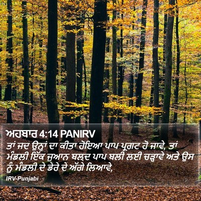 ਅਹਬਾਰ 4:14 PANIRV Bible Verse Image