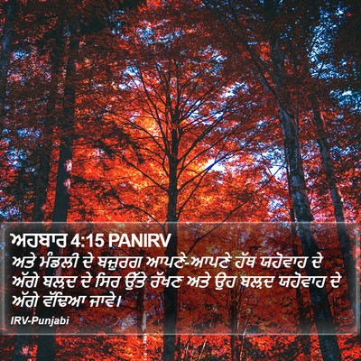 ਅਹਬਾਰ 4:15 PANIRV Bible Verse Image