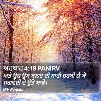ਅਹਬਾਰ 4:19 PANIRV Bible Verse Image