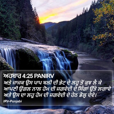 ਅਹਬਾਰ 4:25 PANIRV Bible Verse Image