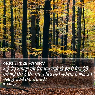 ਅਹਬਾਰ 4:29 PANIRV Bible Verse Image