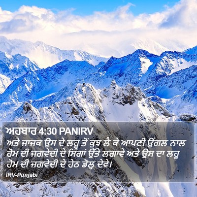 ਅਹਬਾਰ 4:30 PANIRV Bible Verse Image