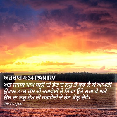 ਅਹਬਾਰ 4:34 PANIRV Bible Verse Image