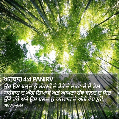 ਅਹਬਾਰ 4:4 PANIRV Bible Verse Image