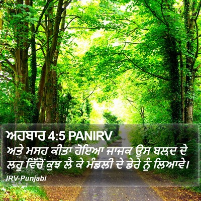 ਅਹਬਾਰ 4:5 PANIRV Bible Verse Image